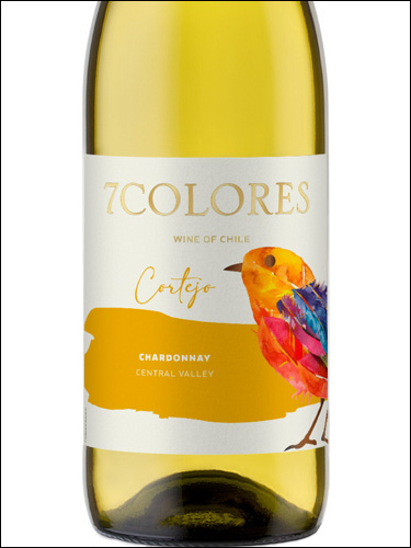 фото 7Colores Cortejo Chardonnay 7Колорес Кортехо Шардоне Чили вино белое