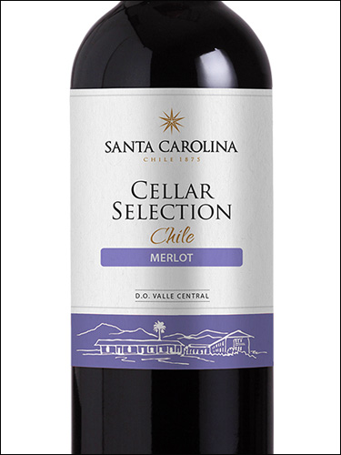 фото Santa Carolina Cellar Selection Merlot Санта Каролина Селлар Селекшн Мерло Чили вино красное