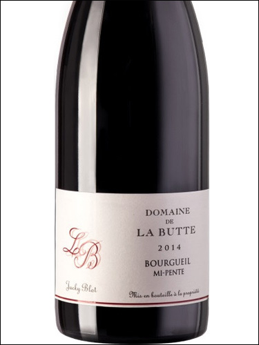 фото Domaine de la Butte Mi-Pente Bourgueil AOC Домен де ля Бют Ми-Пант Бургей Франция вино красное