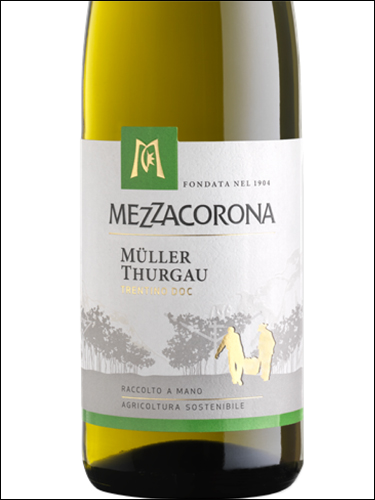фото Mezzacorona Muller Thurgau Trentino DOC Меццакорона Мюллер Тургау Трентино Италия вино белое