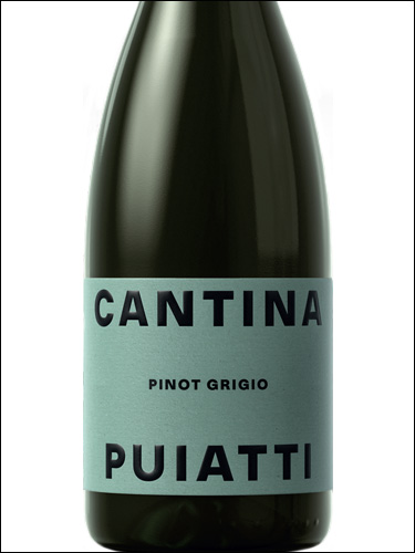 фото Cantina Puiatti Pinot Grigio Friuli DOC Кантина Пуятти Пино Гриджио Фриули Италия вино белое