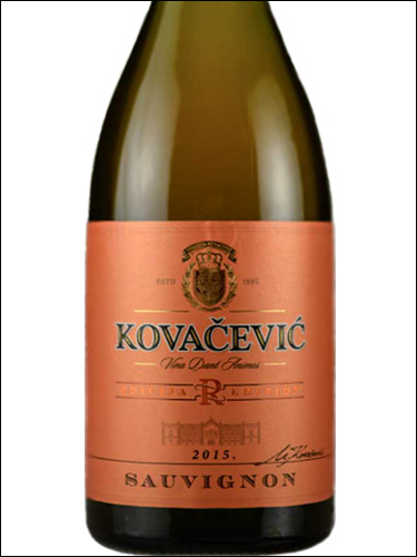 фото Vinarija Kovacevic Sauvignon R Edition Винария Ковачевич Совиньон Р Эдишн Сербия вино белое