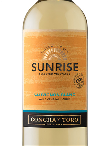 фото Concha y Toro Sunrise Sauvignon Blanc Конча и Торо Санрайз Совиньон Блан Чили вино белое