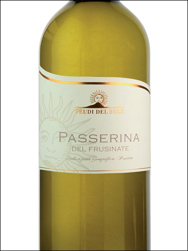 фото Feudi del Sole Passerina del Frusinate IGP Феуди дель Соле Пассерина дель Фрузинате Италия вино белое