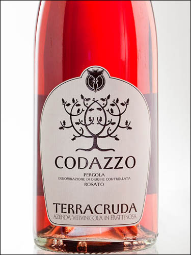 фото Terracruda Codazzo Rosato Pergola DOC Терракруда Кодаццо Розато Пергола ДОК Италия вино розовое