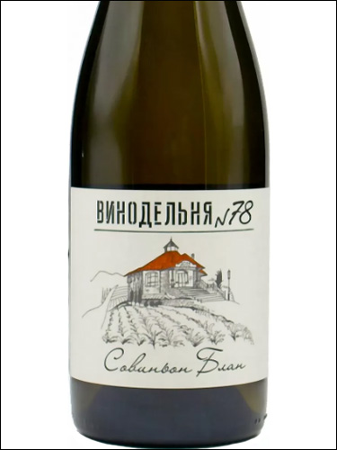 фото Vinodelnya №78 Sauvignon Blanc Винодельня №78 Совиньон Блан Россия вино белое