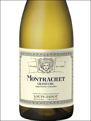 фото Louis Jadot Montrachet Grand Cru AOC Луи Жадо Монраше Гран Крю Франция вино белое