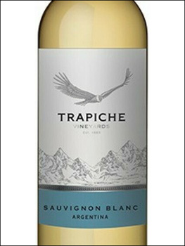 фото Trapiche Vineyards Sauvignon Blanc Mendoza Трапиче Виньярдс Совиньон Блан Мендоса Аргентина вино белое