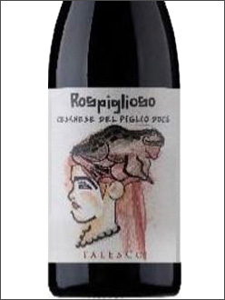 фото Falesco Rospiglioso Cesanese del Piglio DOCG Фалеско Роспильозо Чезанезе дель Пильо Италия вино красное