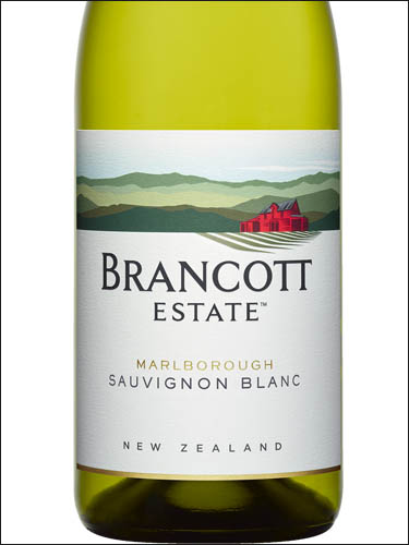 фото Brancott Estate Sauvignon Blanc Marlborough Бранкотт Истейт Совиньон Блан Мальборо Новая Зеландия вино белое