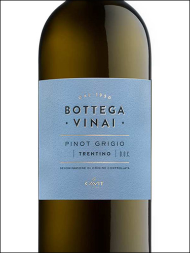 фото Сavit Bottega Vinai Pinot Grigio Trentino DOC Кавит Боттега Винай Пино Гриджио Трентино Италия вино белое