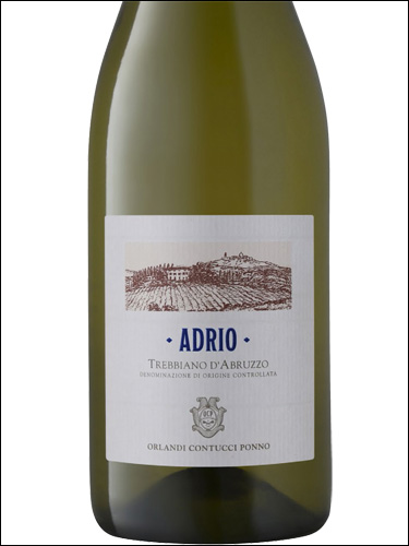 фото Adrio Trebbiano d’Abruzzo DOC Адрио Треббьяно д'Абруццо Италия вино белое