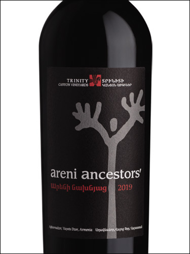 фото Trinity Areni Ancestors Тринити Арени Предков Армения вино красное