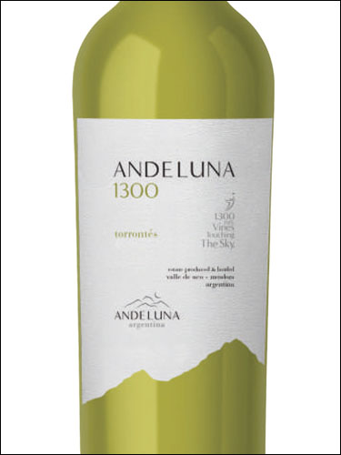 фото Andeluna 1300 Torrontes Uco Valley Анделуна 1300 Торронтес Долина Уко Аргентина вино белое