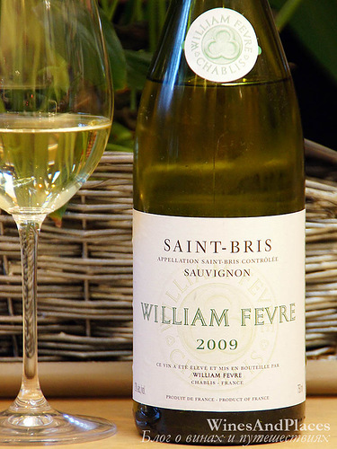 фото William Fevre Sauvignon Saint-Bris AOC Вильям Февр Совиньон Сен Бри Франция вино белое