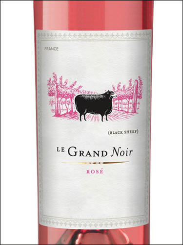 фото Le Grand Noir Rose Pays d'Oc IGP Ле Гран Нуар Розе Пэи д'Ок Франция вино розовое