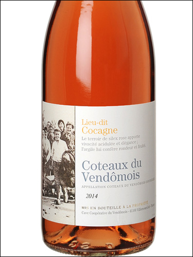 фото Lieu-Dit Cocagne Coteaux du Vendomois Gris AOC Льё-ди Кокань Кото дю Вандомуа Гри Франция вино розовое
