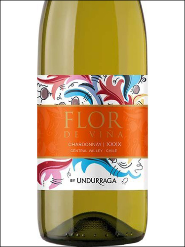 фото Undurraga Flor de Vina Chardonnay Ундуррага Флор де Винья Шардоне Чили вино белое