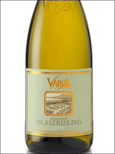 фото Varga Pinceszet Olaszrizling szaraz Balatoni Варга Пинцесет Оласрислинг Балатон Венгрия вино белое