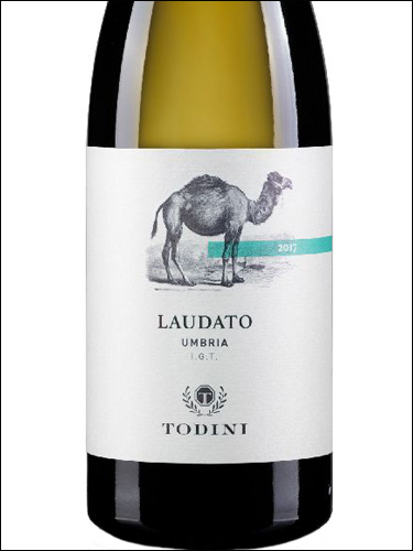фото Todini Laudato Umbria Bianco IGT Тодини Лаудато Умбрия Бьянко Италия вино белое