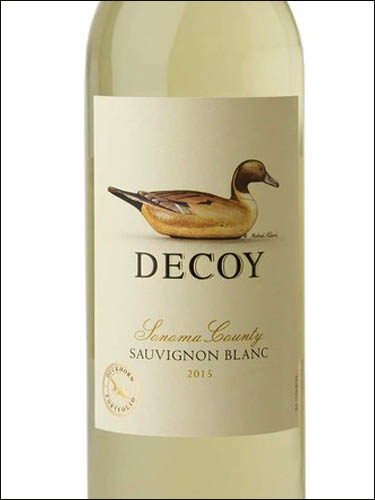 фото Decoy Sauvignon Blanc Sonoma County Декой Совиньон Блан Сонома Каунти США вино белое