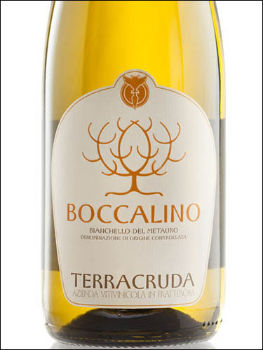 фото Terracruda Boccalino Bianchello del Metauro DOC Терракруда Боккалино Бьянкелло дель Метауро ДОК Италия вино белое