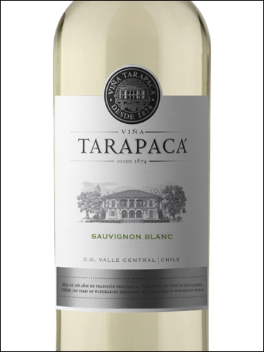 фото Vina Tarapaca Sauvignon Blanc Винья Тарапака Совиньон Блан Чили вино белое