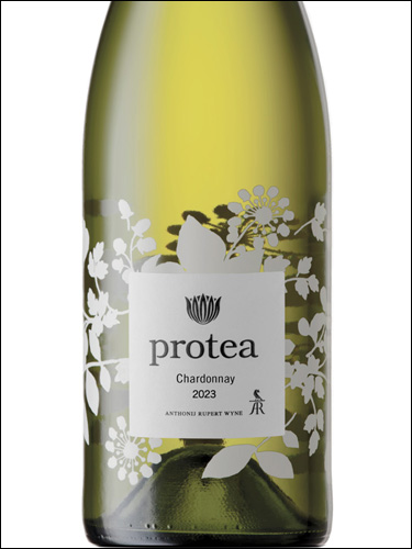 фото Protea Chardonnay Протея Шардоне ЮАР вино белое