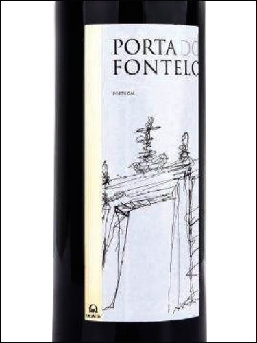 фото Udaca Porta do Fontelo Tinto Portugal Удака Порта ду Фонтелу Тинту Португалия вино красное