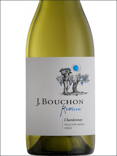 фото J.Bouchon Reserva Chardonnay Valle del Maule Х.Бушон Резерва Шардоне Долина Мауле Чили вино белое