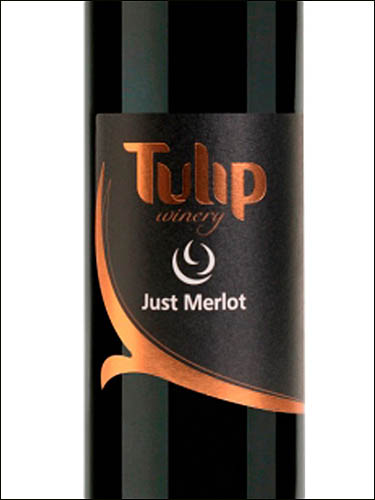 фото Tulip Just Merlot Тьюлип Джаст Мерло Израиль вино красное