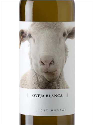 фото вино Oveja Blanca Muscat 