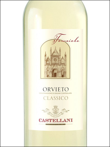 фото Castellani Tomaiolo Orvieto Classico DOC Кастеллани Томайоло Орвието Классико Италия вино белое