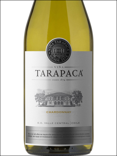 фото Vina Tarapaca Chardonnay Винья Тарапака Шардоне Чили вино белое