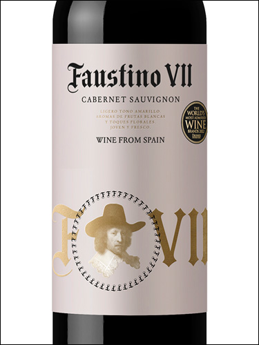 фото вино Faustino VII Cabernet Sauvignon 