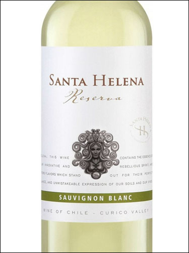 фото Santa Helena Reserva Sauvignon Blanc Valle Central DO Санта Элена Резерва Совиньон Блан Центральная Долина Чили вино белое