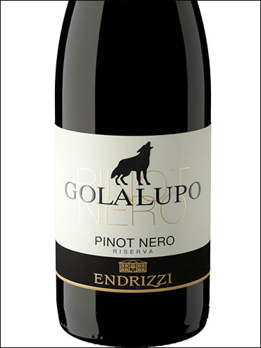 фото Endrizzi Golalupo Pinot Nero Riserva Trentino DOC Эндрицци Голалупо Пино Неро Ризерва Трентино Италия вино красное