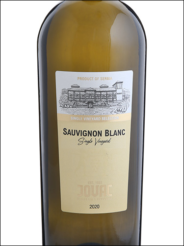 фото Vinarija Jovac Single Vineyard Sauvignon Blanc Винария Йовац Сингл Виньярд Совиньон Блан Сербия вино белое