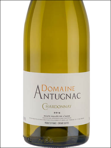 фото Domaine d'Antugnac Chardonnay Haute-Vallee de l'Aude IGP Домен д'Антуньяк Шардоне От-Валле де л'Од Франция вино белое