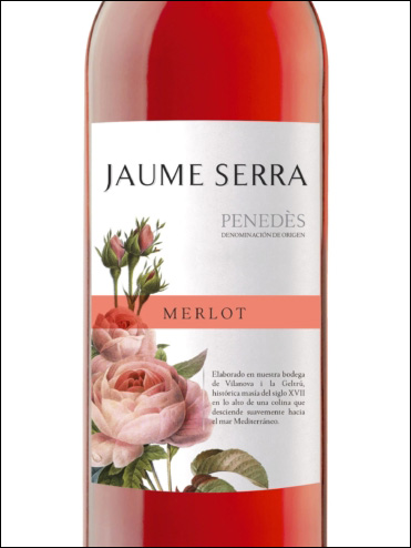 фото вино Jaume Serra Merlot Rosado Penedes DO 