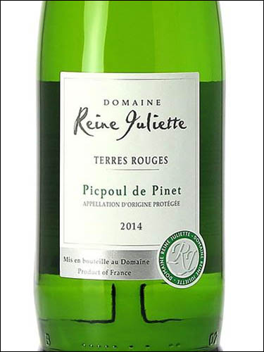 фото Domaine Reine Juliette Picpoul de Pinet AOP Домен Рэн Жюльетт Пикпуль де Пине Франция вино белое
