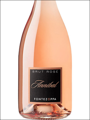 фото Fontezoppa Annibal Spumante Brut Rose Фонтецоппа Аннибаль Спуманте Брют Розе Италия вино розовое