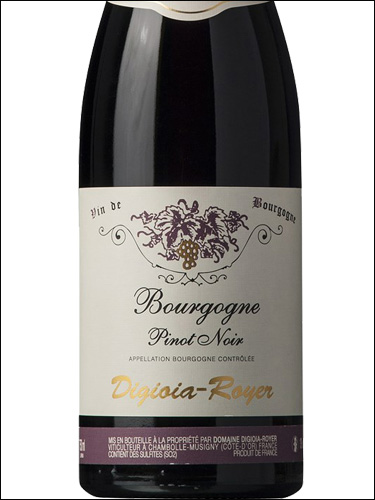 фото Digioia-Royer Bourgogne Pinot Noir AOC Дижойя-Руайе Бургонь Пино Нуар Франция вино красное