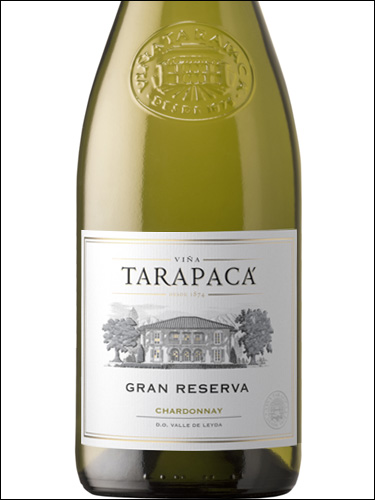 фото Tarapaca Gran Reserva Chardonnay Тарапака Гран Резерва Шардоне Чили вино белое