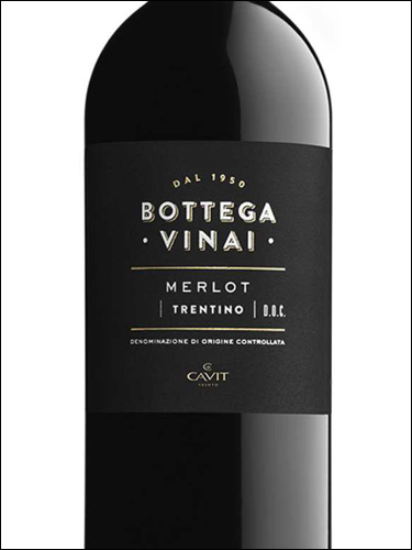 фото Сavit Bottega Vinai Merlot Trentino DOC Кавит Боттега Винай Мерло Трентино Италия вино красное