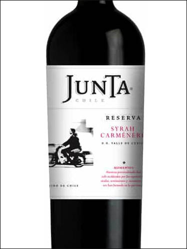 фото Junta Momentos Reserve Syrah-Carmenere Curico Valle Хунта Моментос Резерв Сира Карменер Долина Курико Чили вино красное