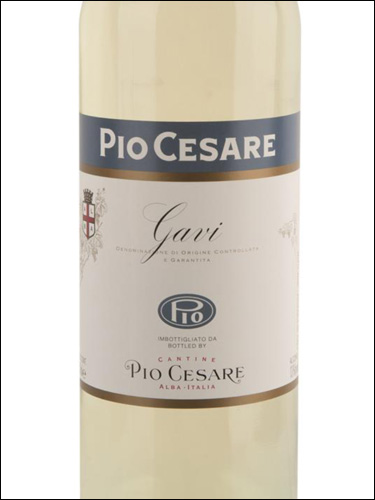 фото Pio Cesare Gavi DOCG Пио Чезаре Гави Италия вино белое
