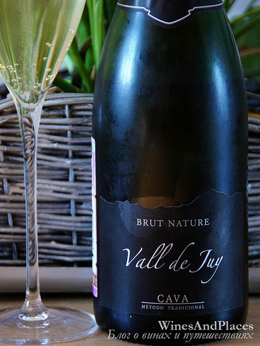 фото Cava Vall de Juy Brut Nature Валь де Джу Брют Натюр ДО Кава Испания вино белое