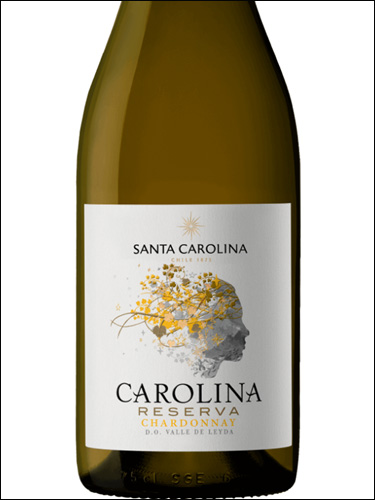 фото Santa Carolina Carolina Reserva Chardonnay Санта Каролина Каролина Ресерва Шардоне Чили вино белое