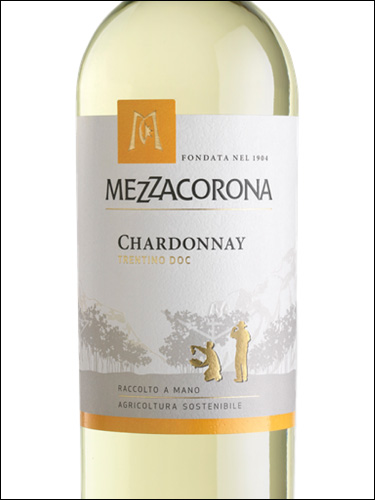 фото Mezzacorona Chardonnay Trentino DOC Меццакорона Шардоне Трентино Италия вино белое